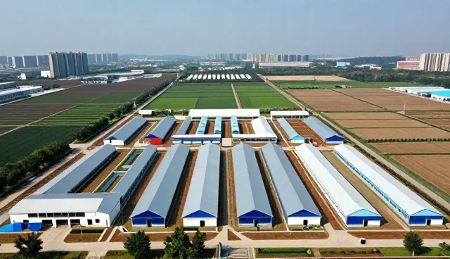 技术外包服务中的风险控制要点与使用建议